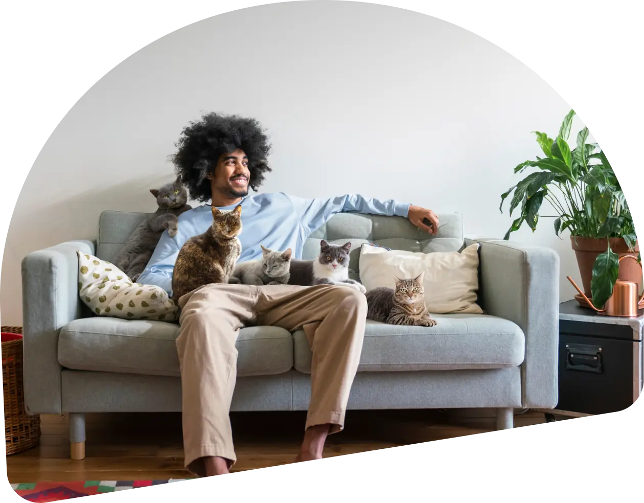 A man relaxing on the couch with his cats.