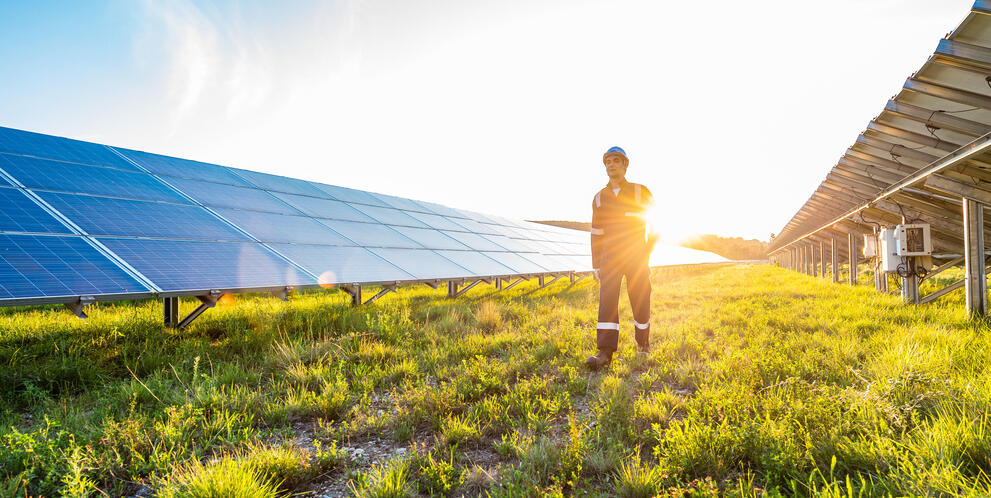 Solar farm with sun in background
