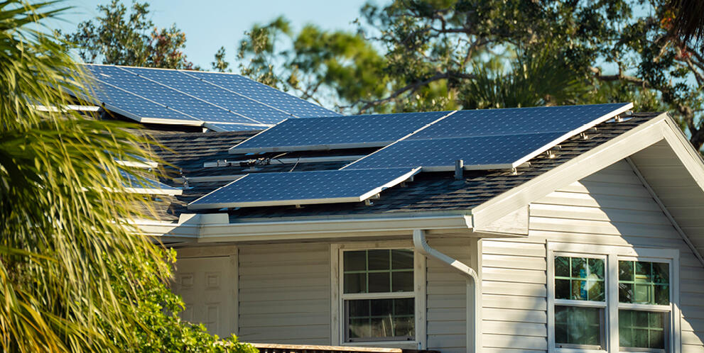 Solar panels installed on the roof of a light‑coloured house surrounded by trees and greenery.