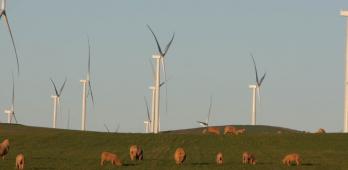 New-ENGIE-wind-farm