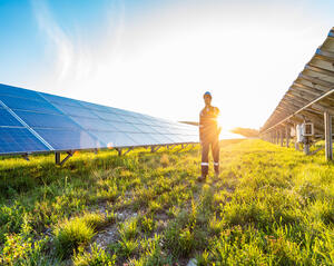 Solar farm with sun in background